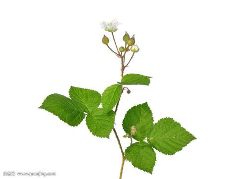 ͻ˹йԮͻҽƶӰ䷢֤