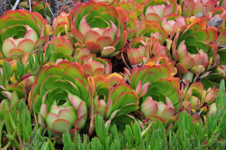 ȫȷ79232555 ֱ¹ڲȾ